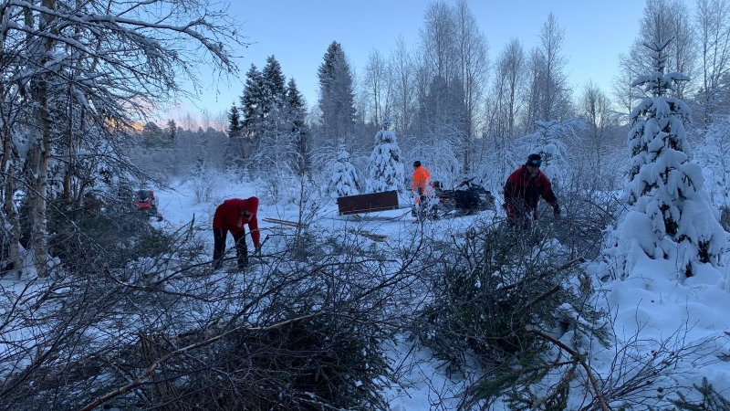 Röjning Långå jan 2025