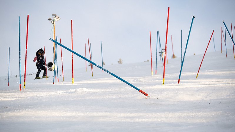Slalomkäpp vajar i backen