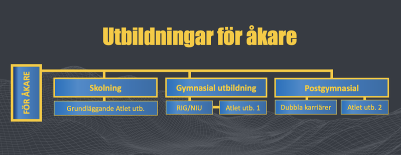 Utbildningsstrategi Åkare